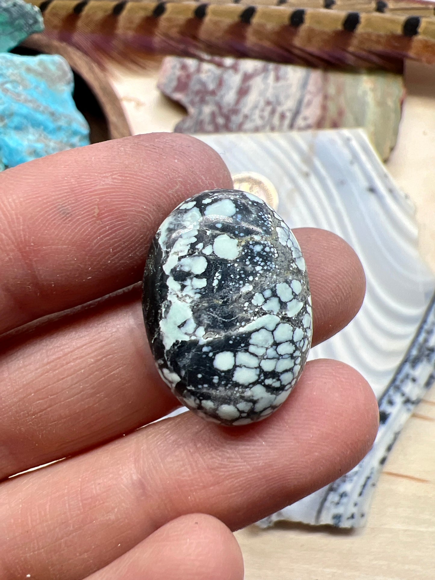 Emerald Basin Variscite cabochon