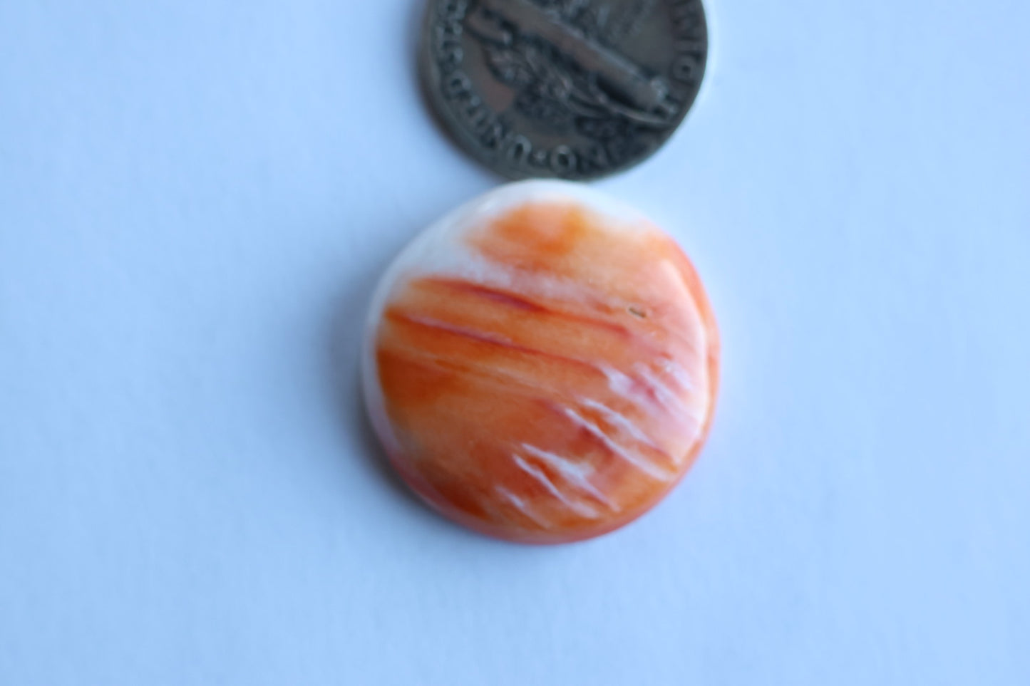 Spiny oyster cabochon