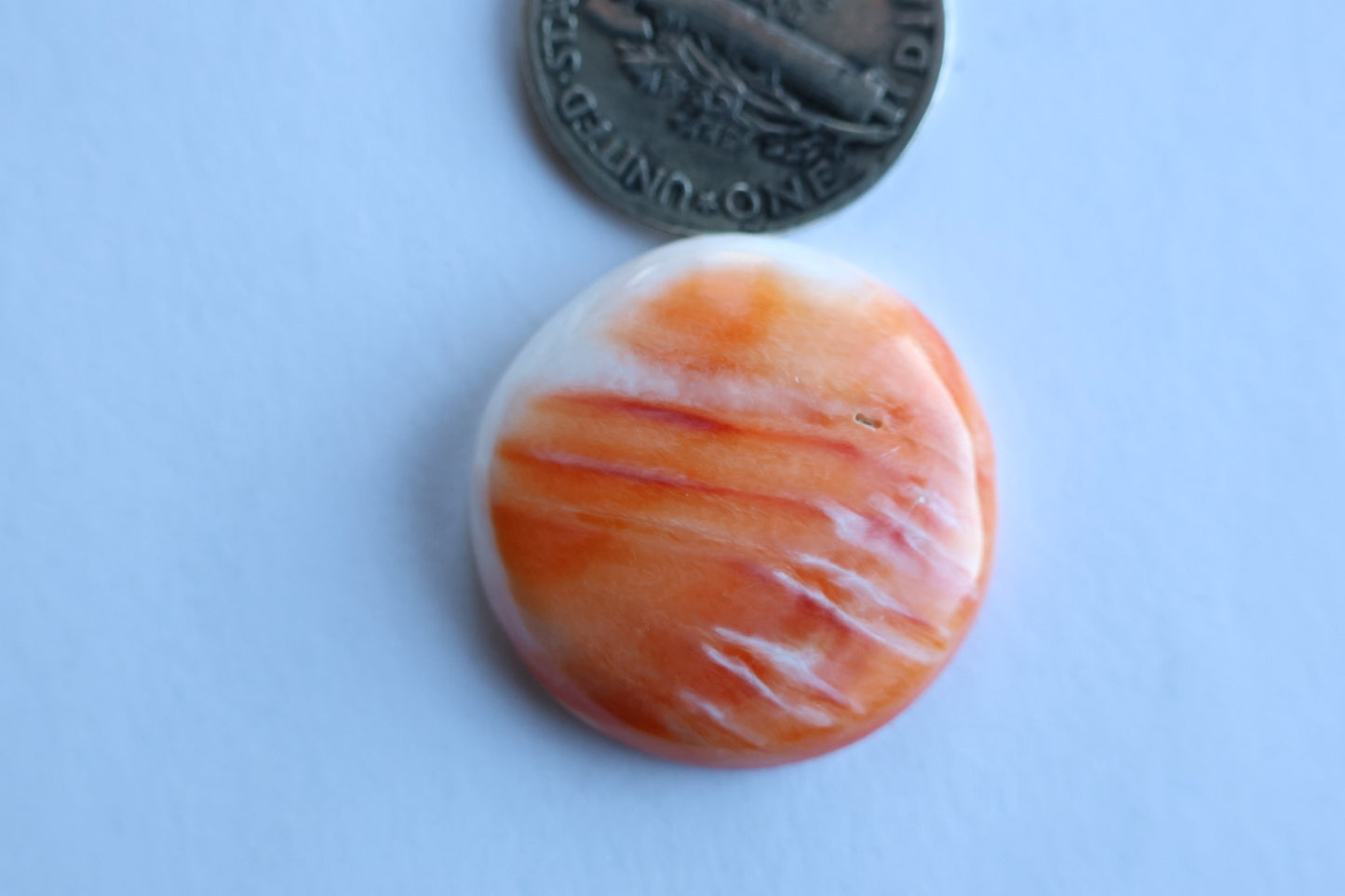 Spiny oyster cabochon