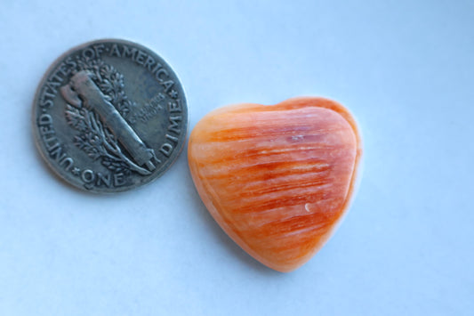 Spiny oyster cabochon heart