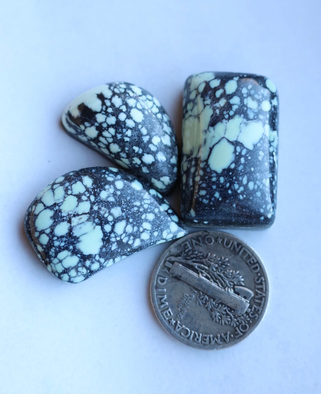 Emerald Basin Variscite cabochon