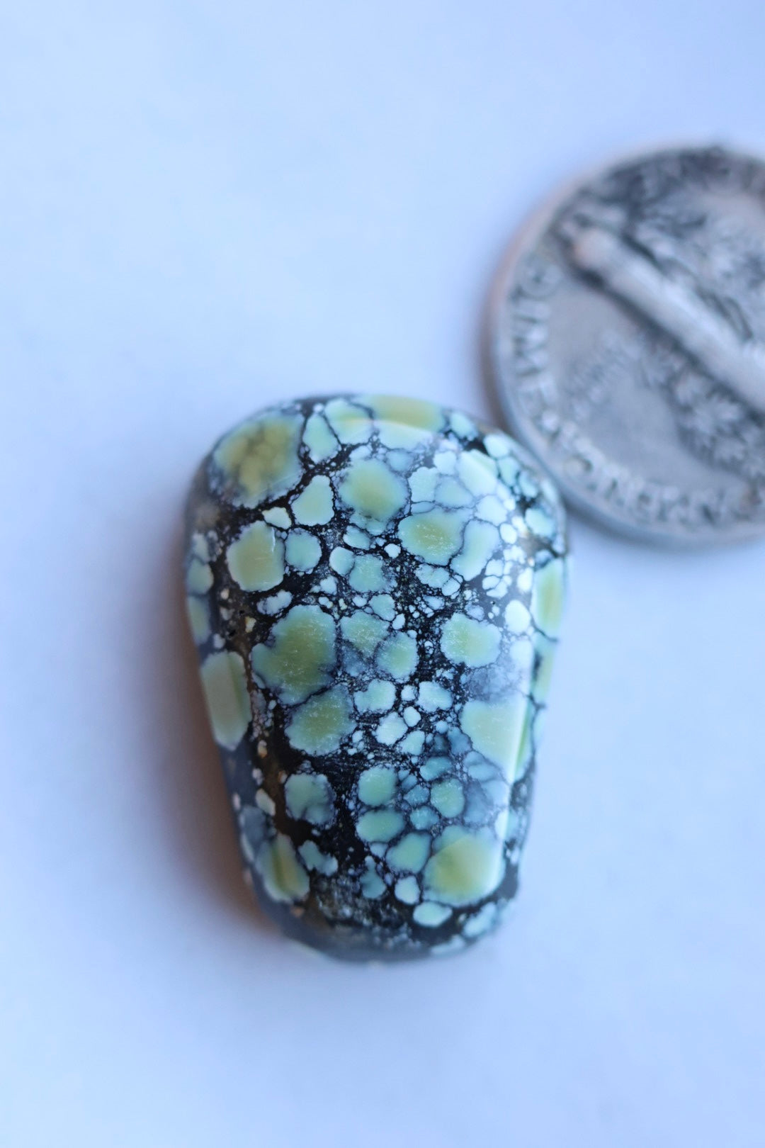 Colina verde variscite cabochon