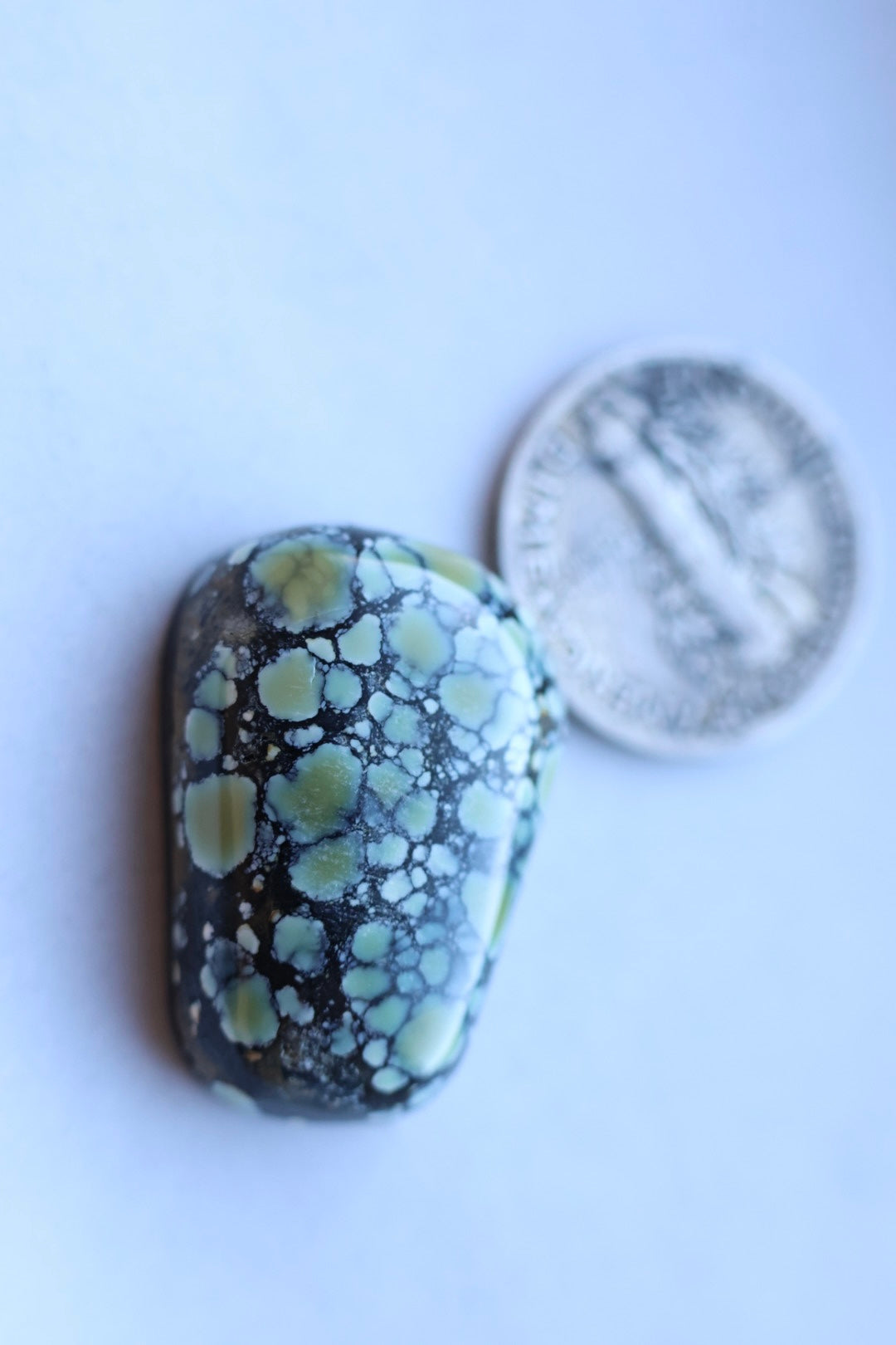 Colina verde variscite cabochon