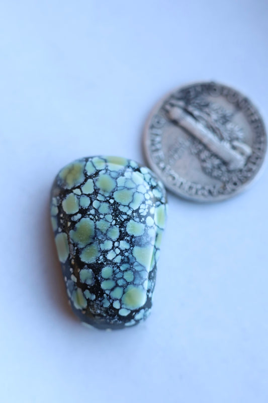 Colina verde variscite cabochon