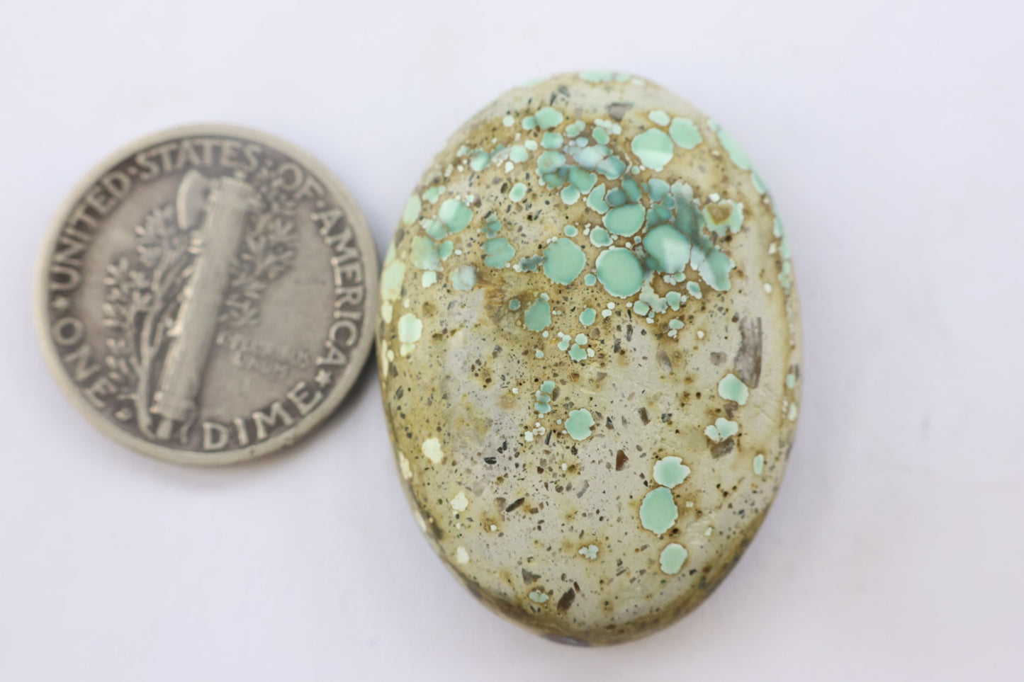 Turtle Back Variscite Cabochon