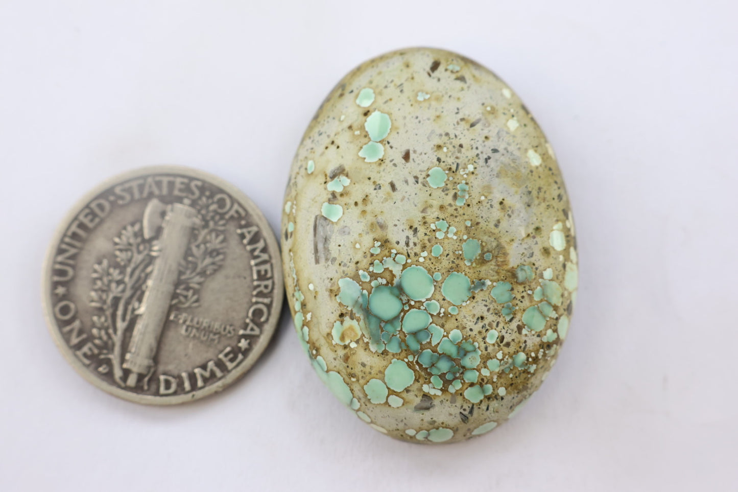 Turtle Back Variscite Cabochon