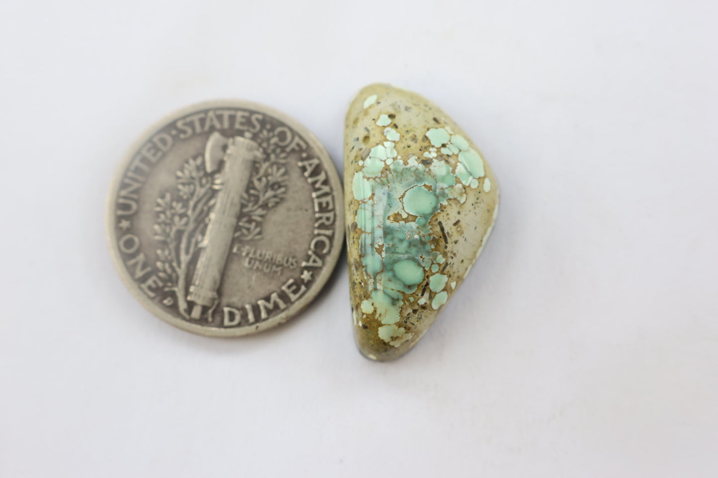 Turtle Back Variscite Cabochon