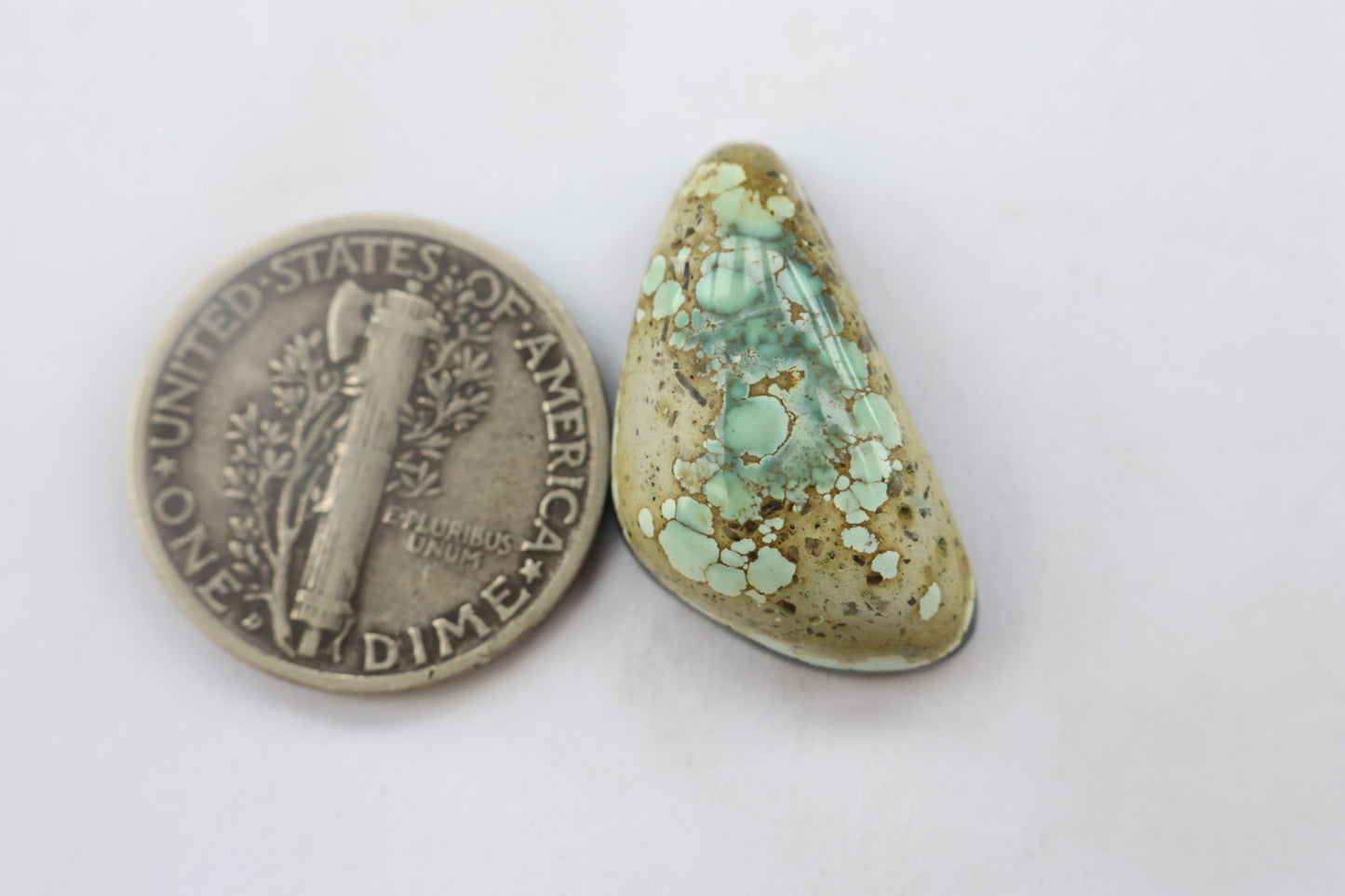 Turtle Back Variscite Cabochon