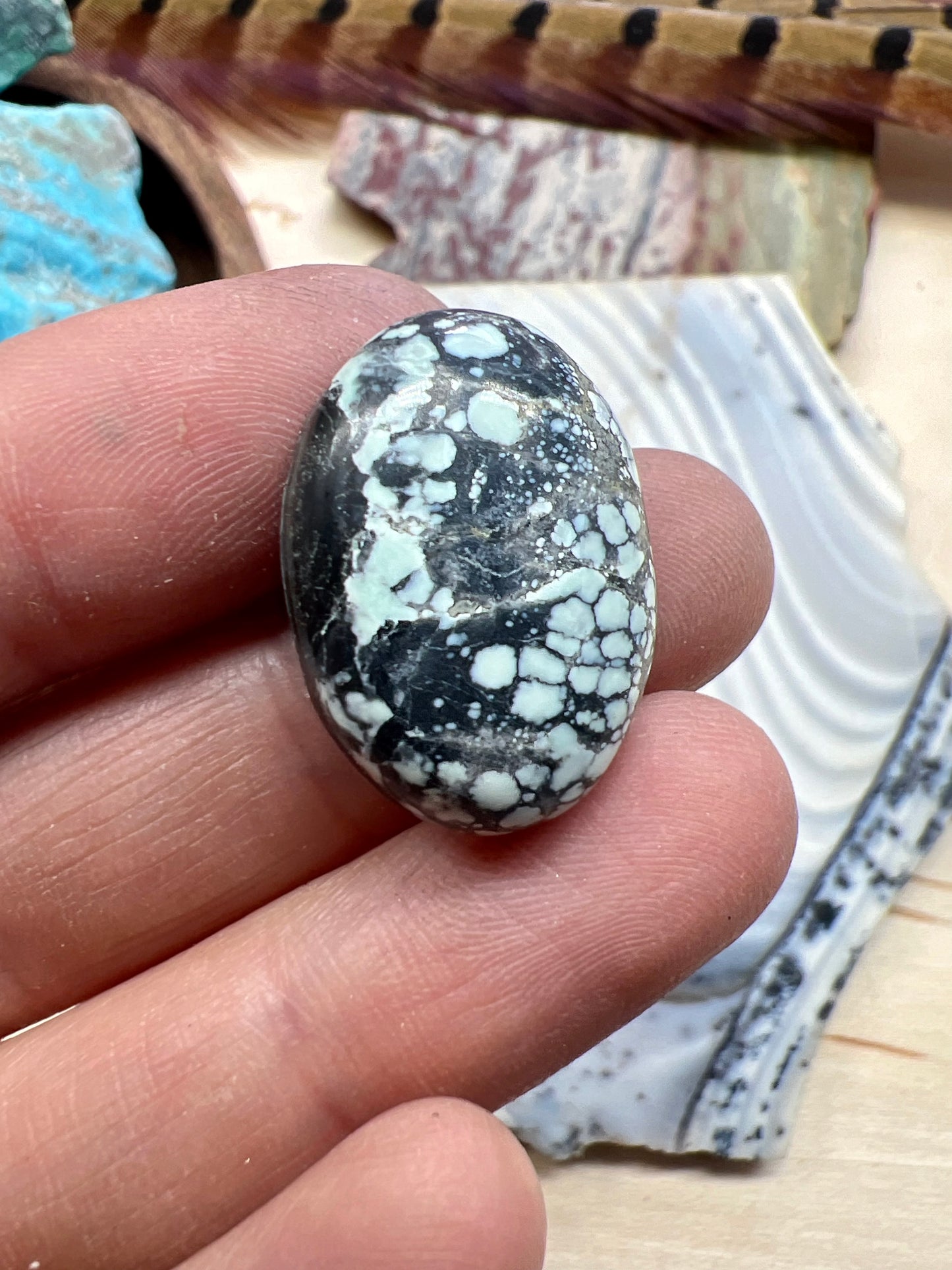 Emerald Basin Variscite cabochon