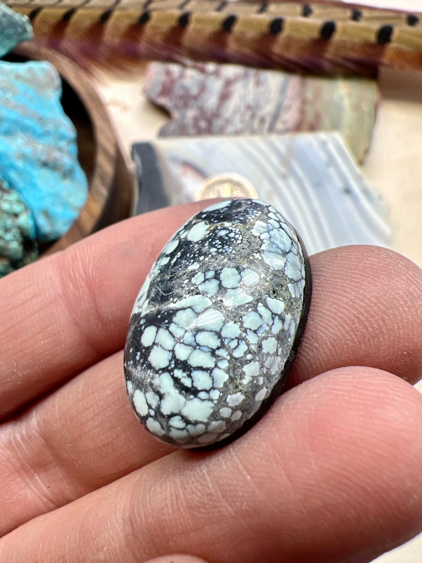 Emerald Basin Variscite cabochon