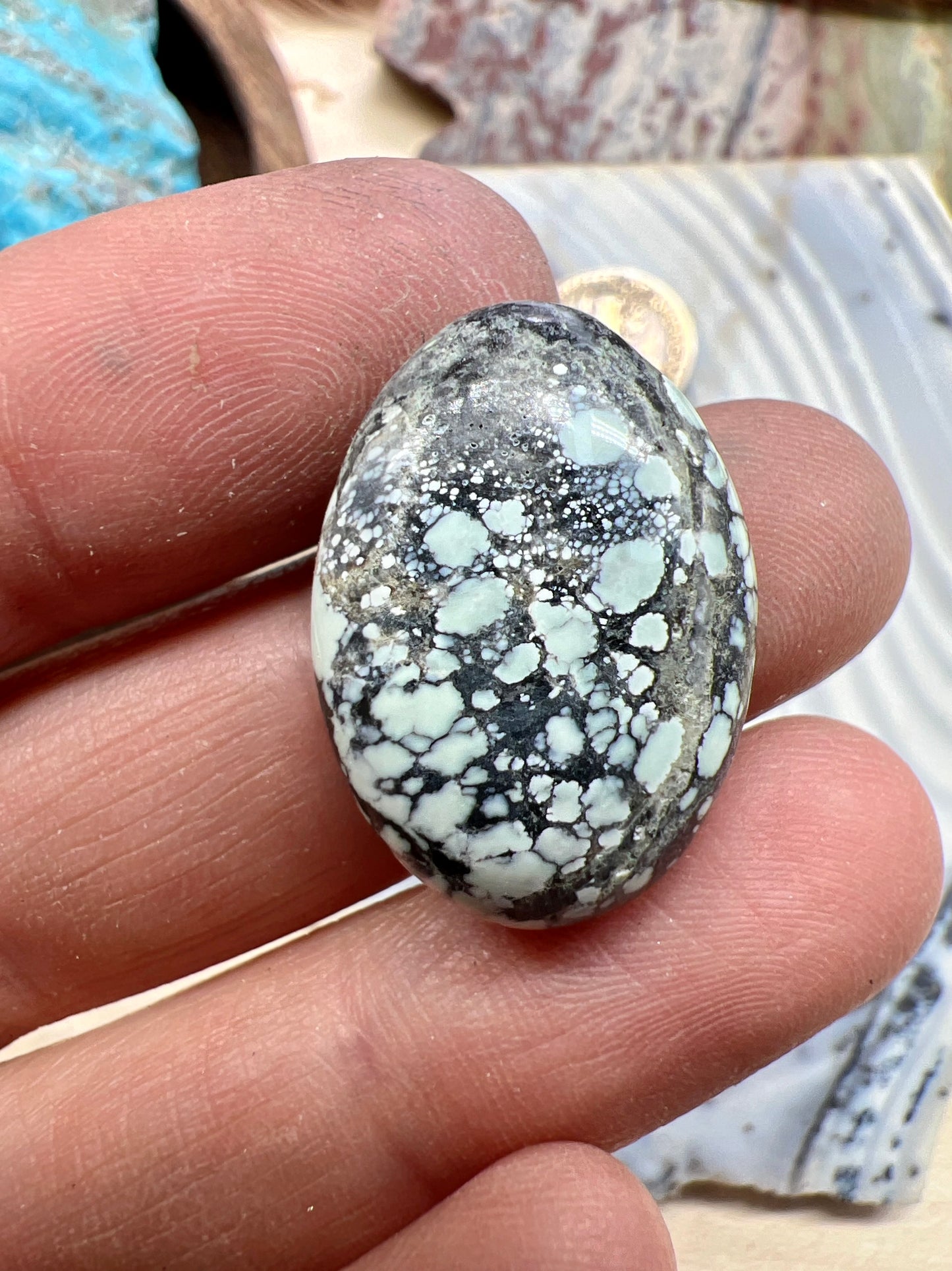 Emerald Basin Variscite cabochon