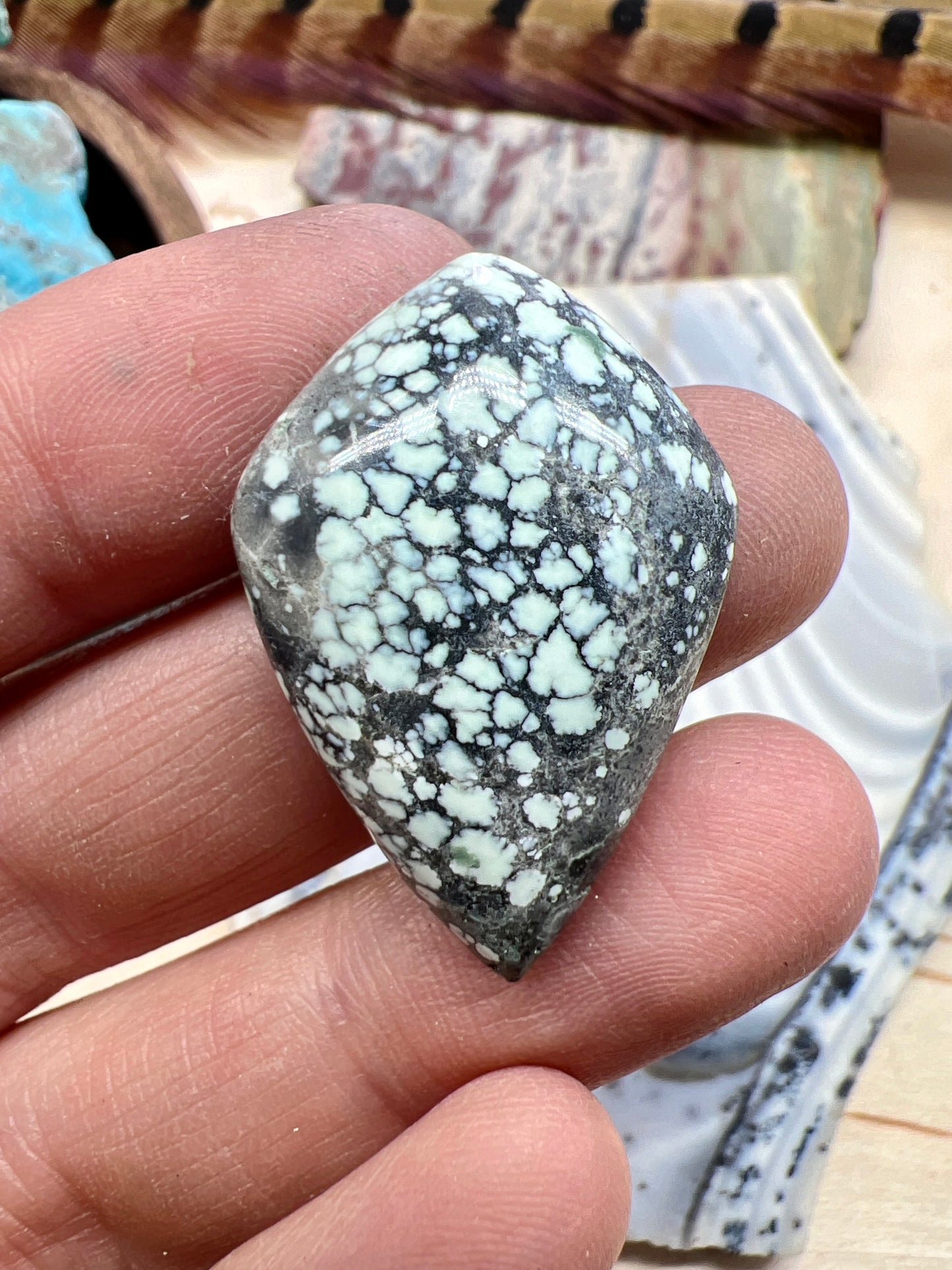 Emerald Basin Variscite cabochon