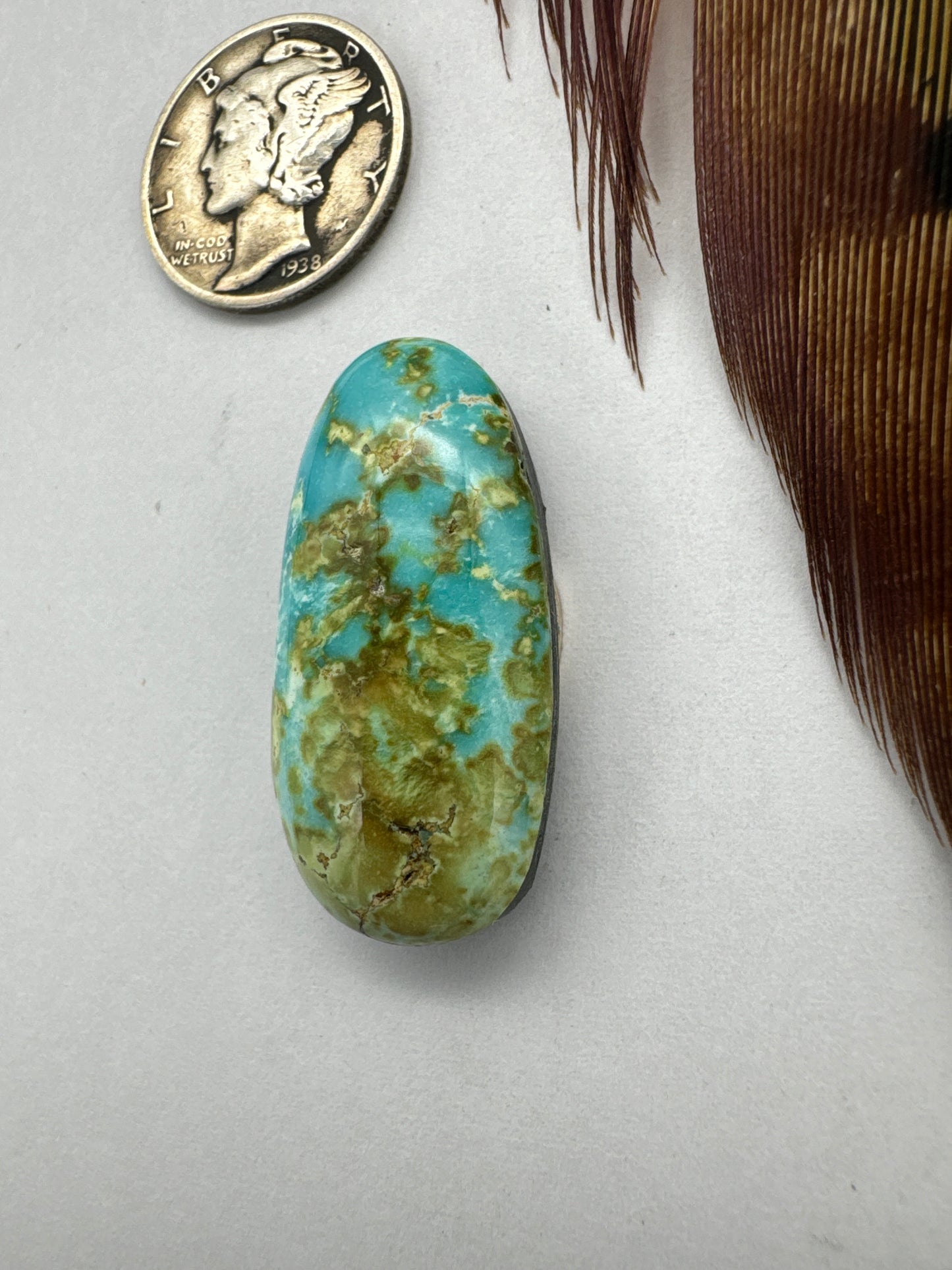 Sonoran Gold Turquoise