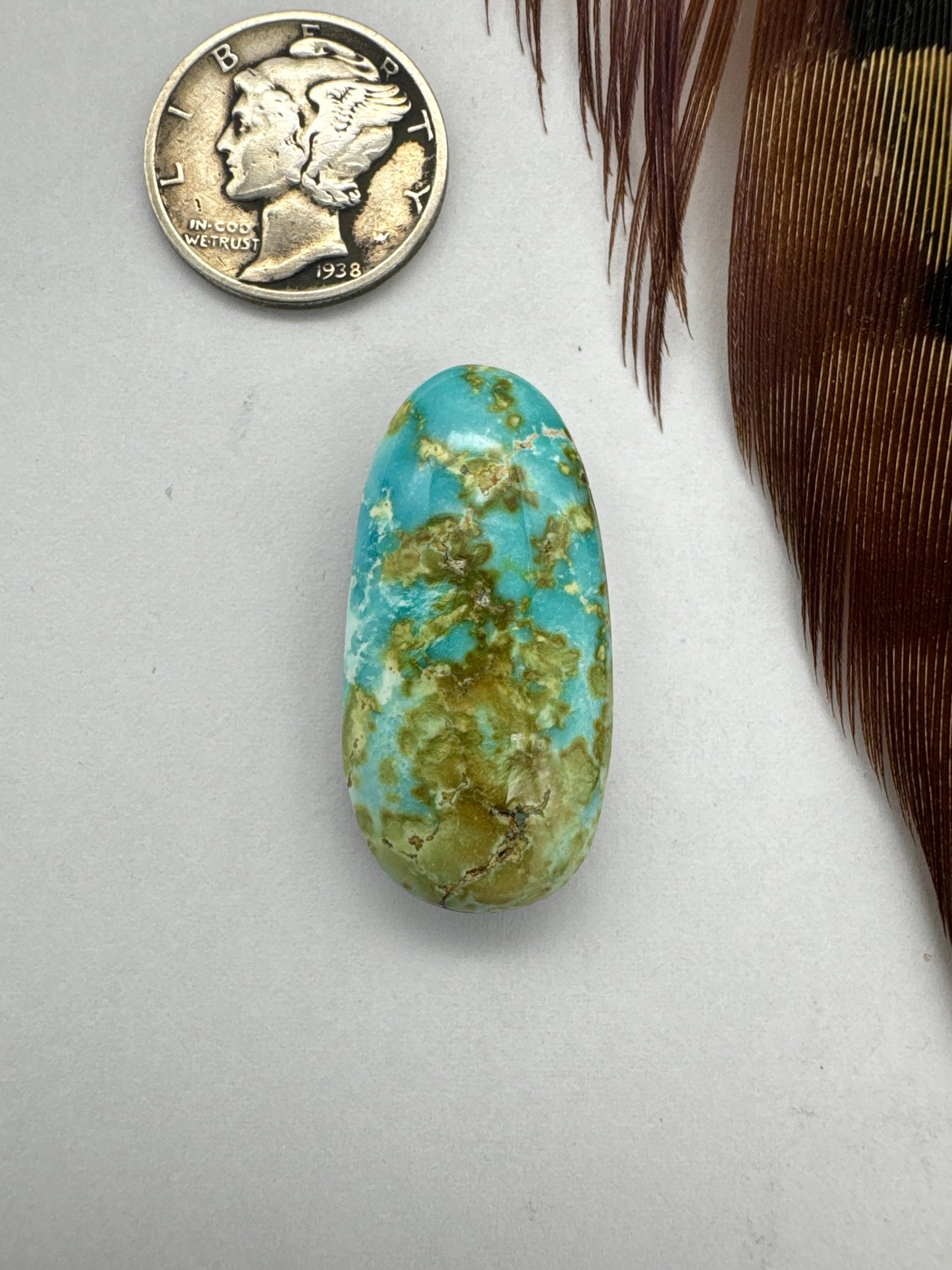 Sonoran Gold Turquoise