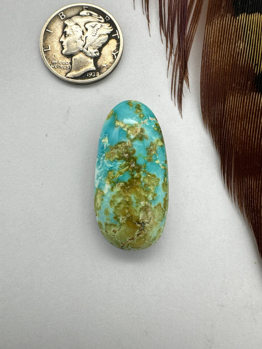 Sonoran Gold Turquoise