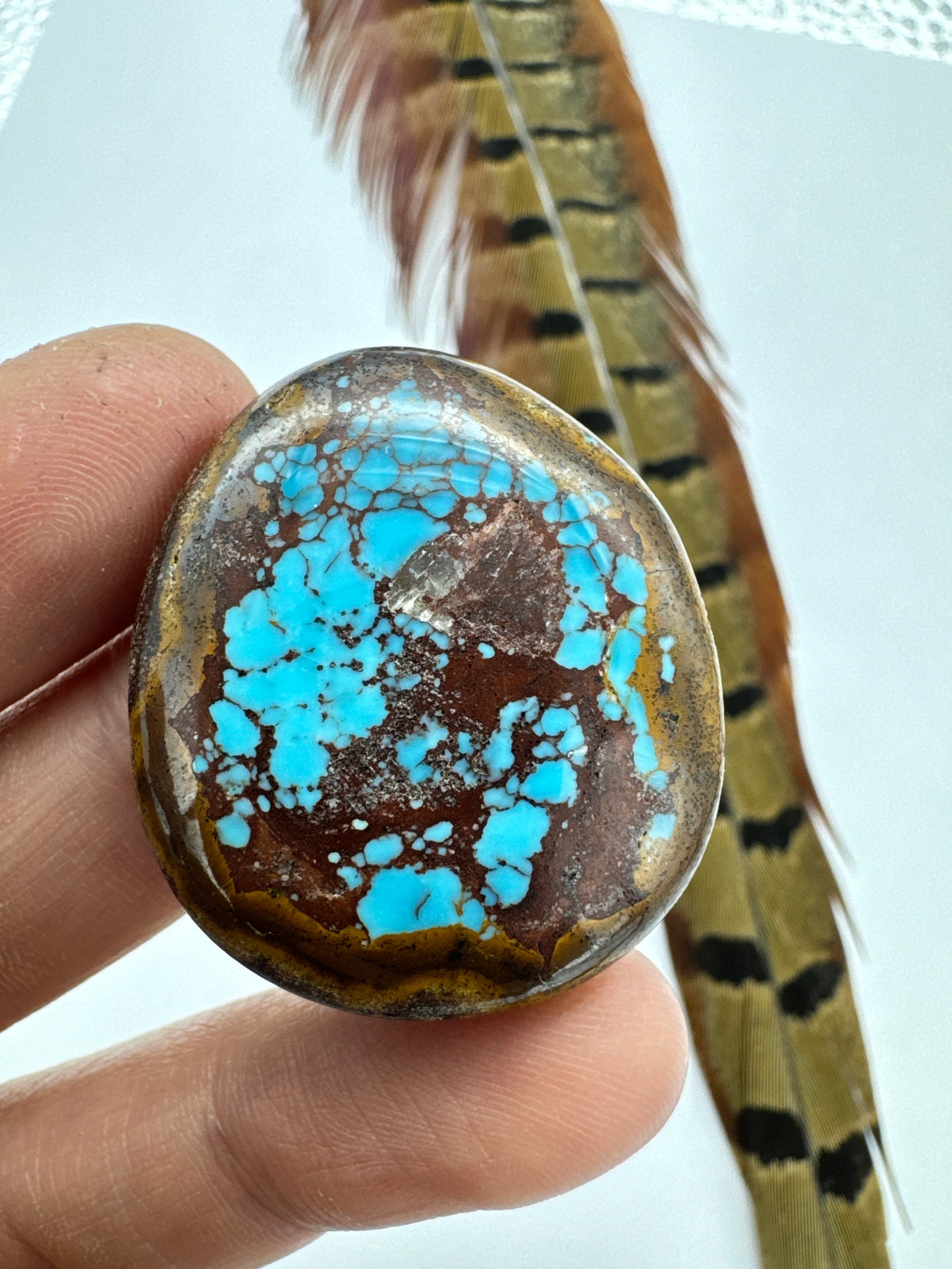 Egyptian Turquoise Hugh grade cabochon