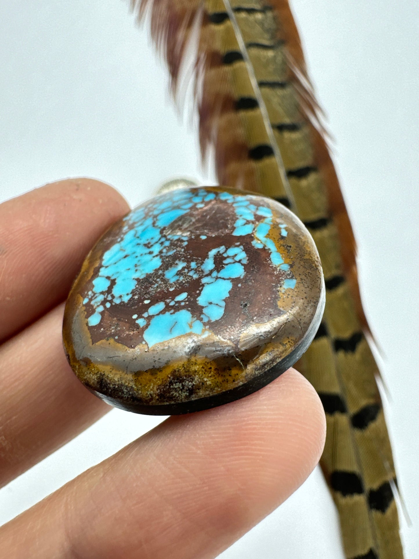 Egyptian Turquoise Hugh grade cabochon