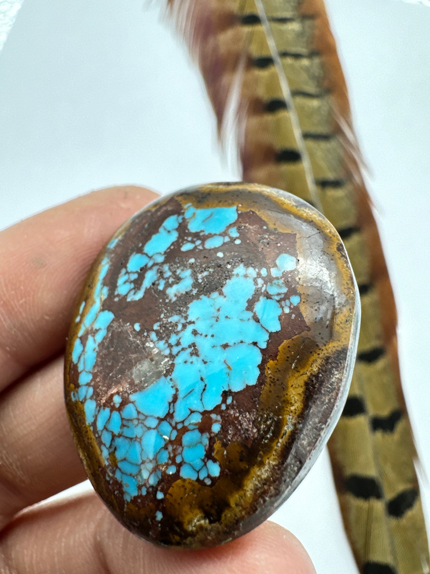 Egyptian Turquoise Hugh grade cabochon