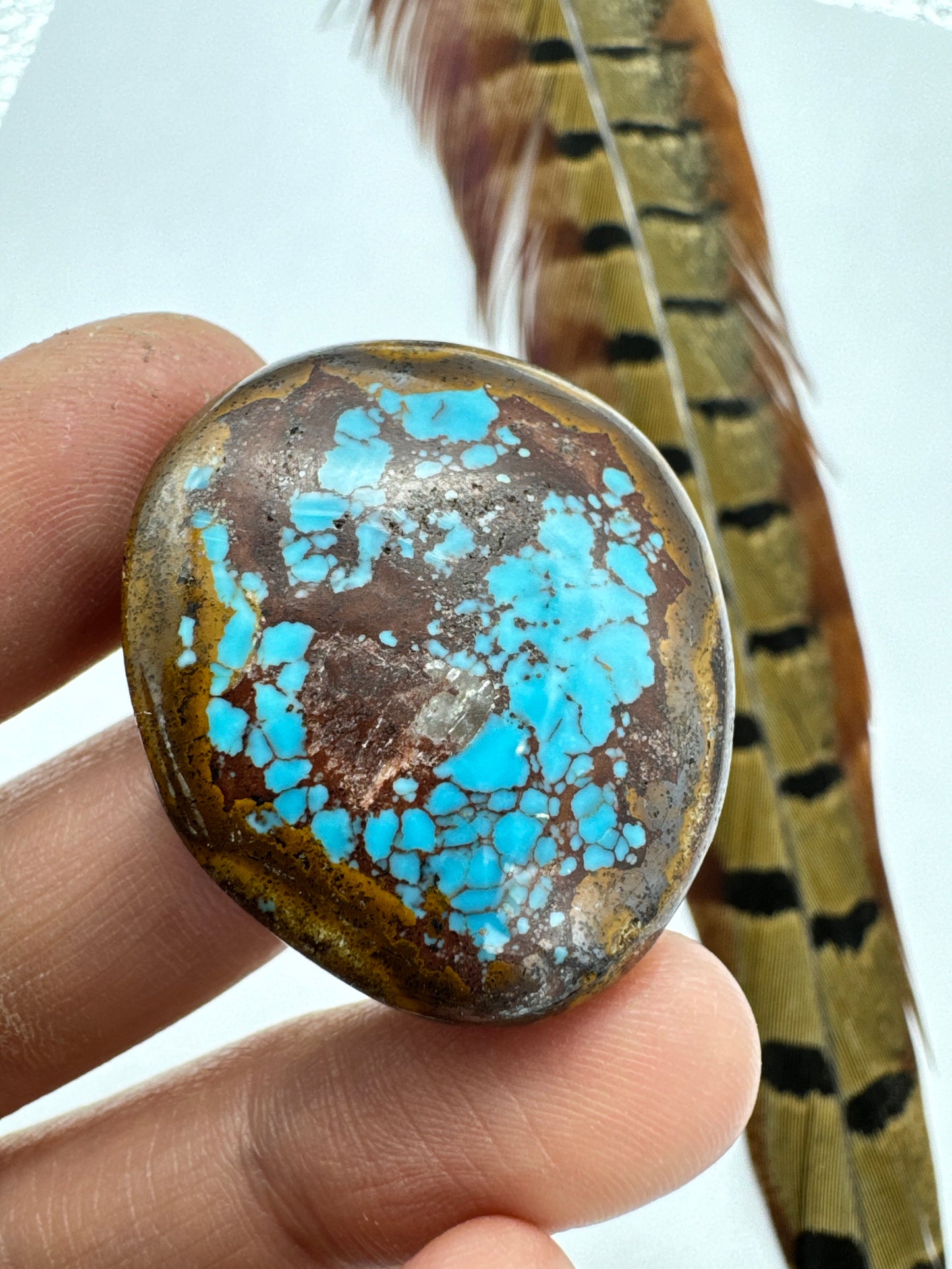 Egyptian Turquoise Hugh grade cabochon