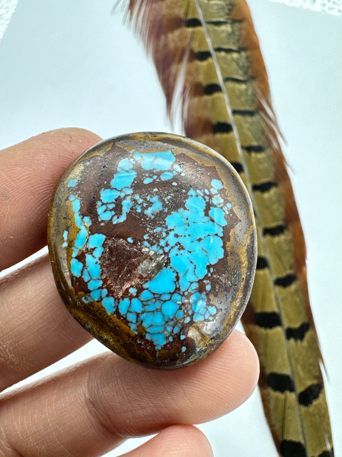 Egyptian Turquoise Hugh grade cabochon