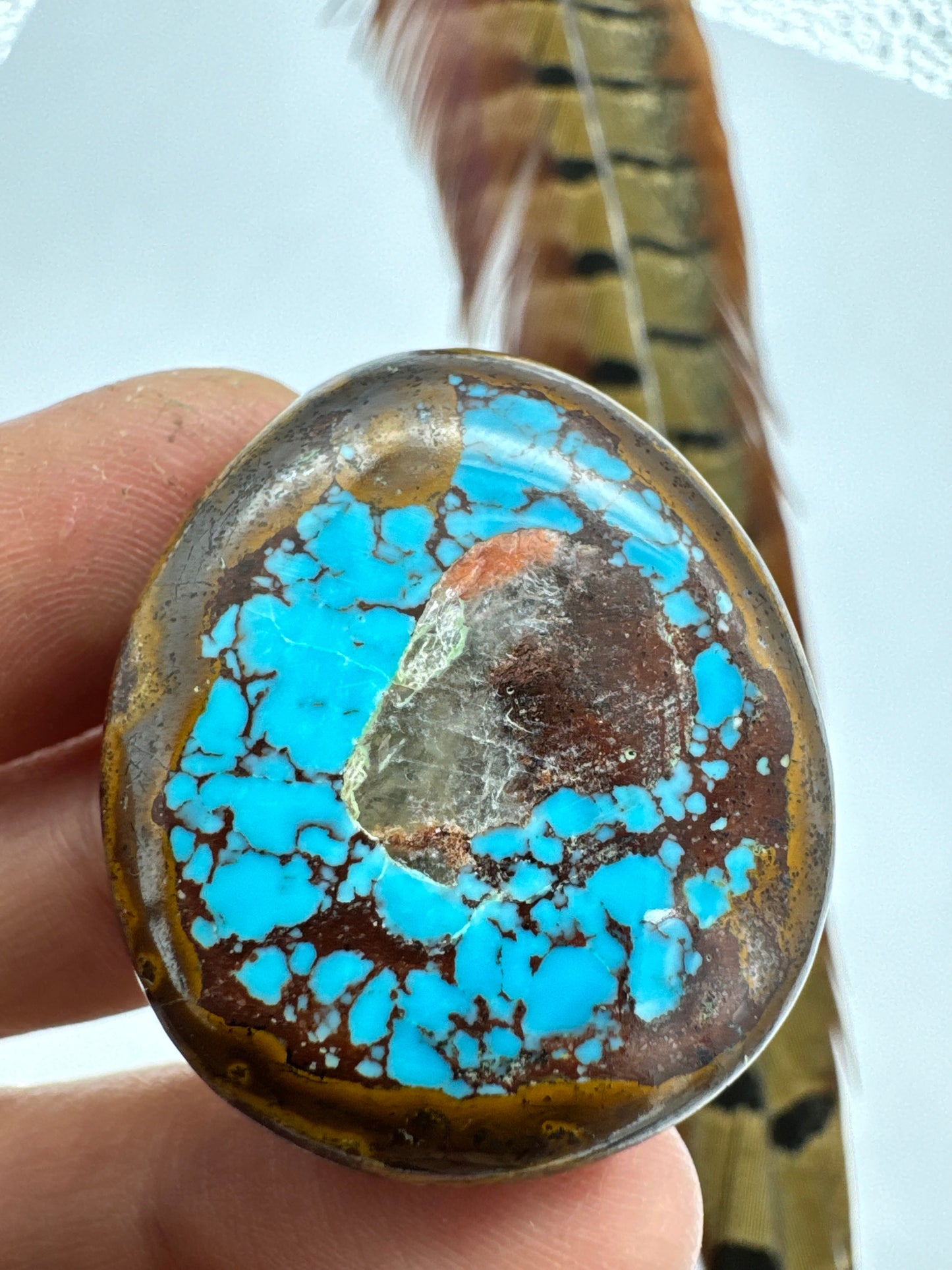 Egyptian Turquoise Hugh grade cabochon