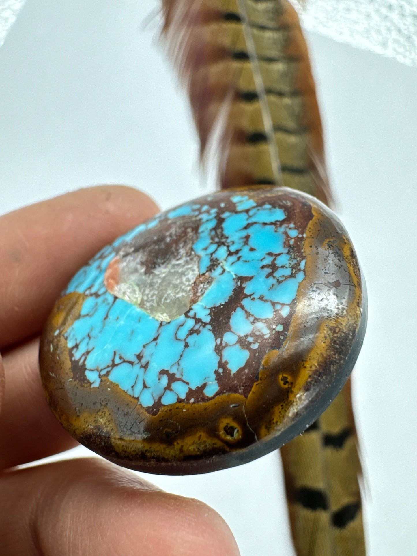 Egyptian Turquoise Hugh grade cabochon