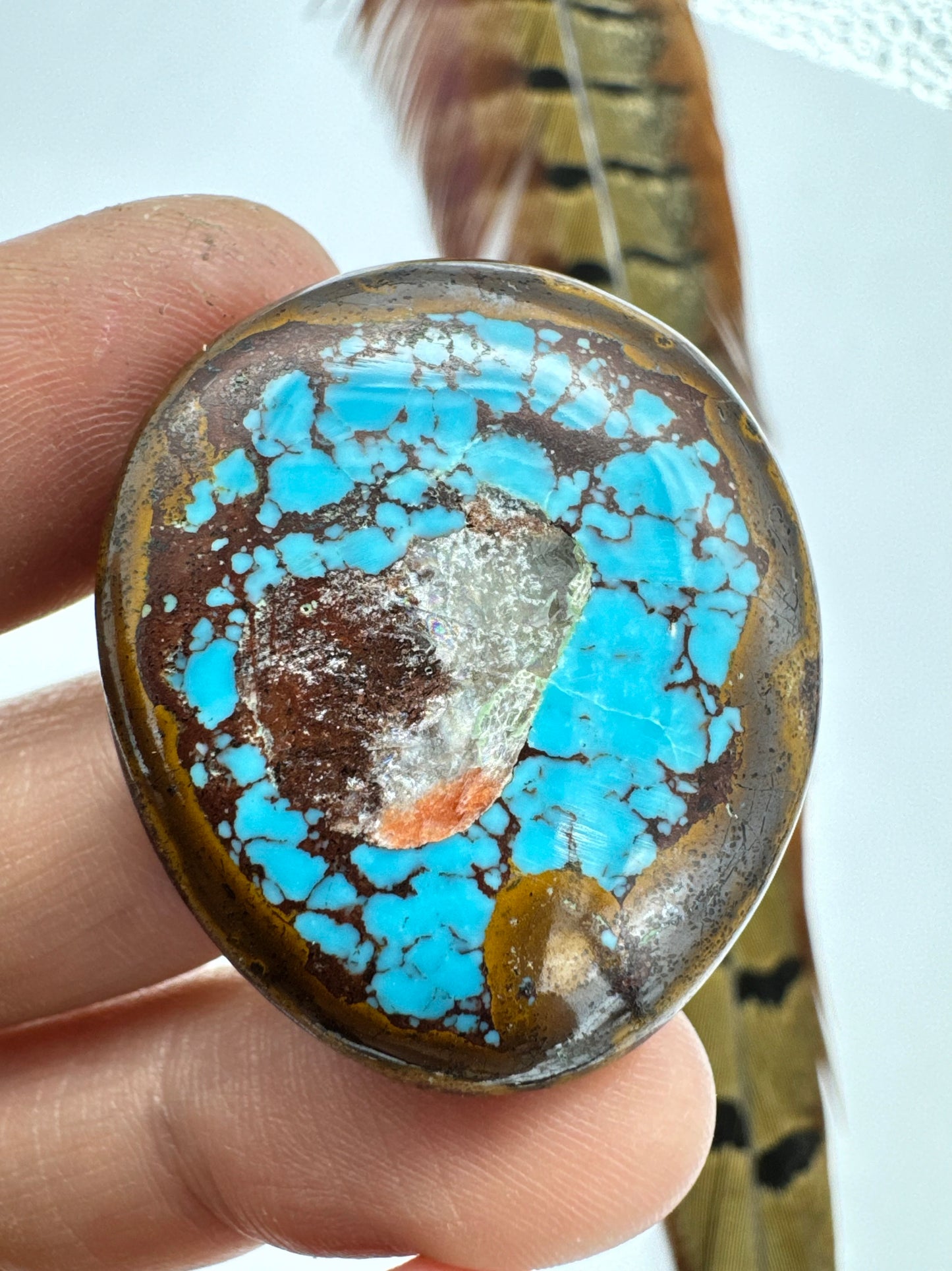 Egyptian Turquoise Hugh grade cabochon