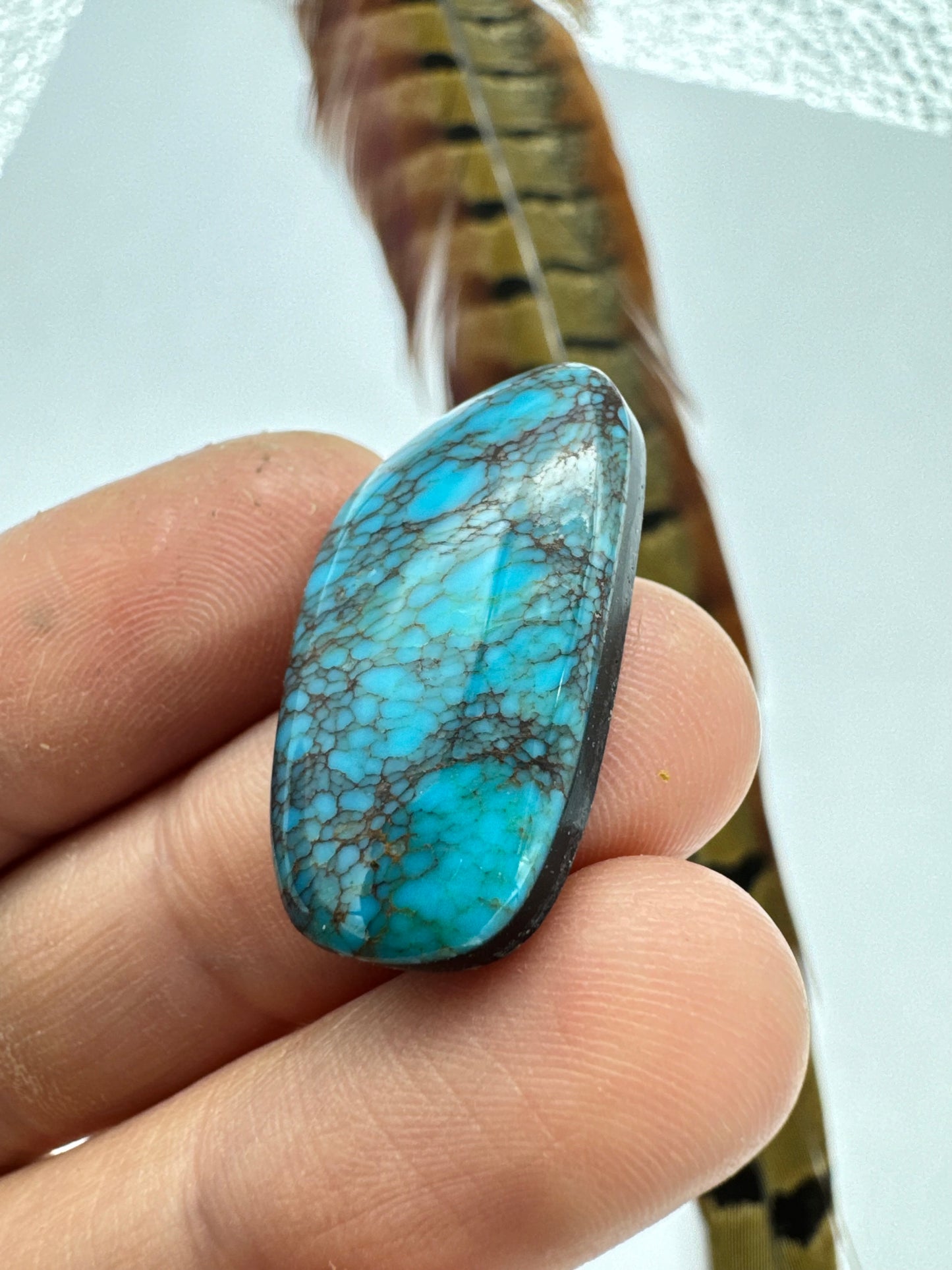 Egyptian Turquoise Hugh grade cabochon