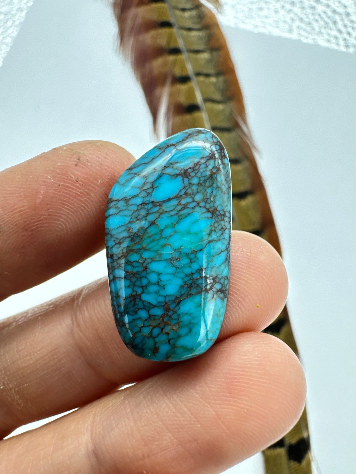 Egyptian Turquoise Hugh grade cabochon