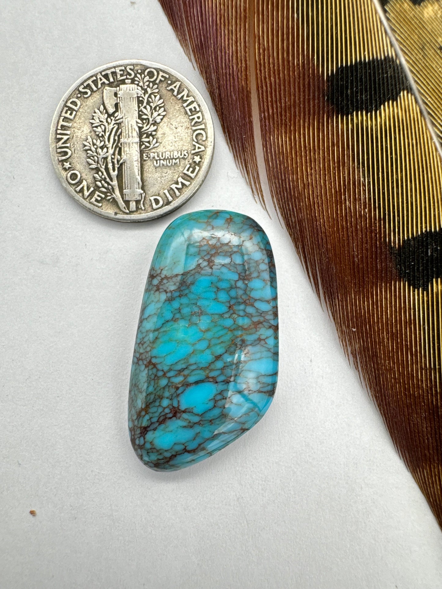 Egyptian Turquoise Hugh grade cabochon