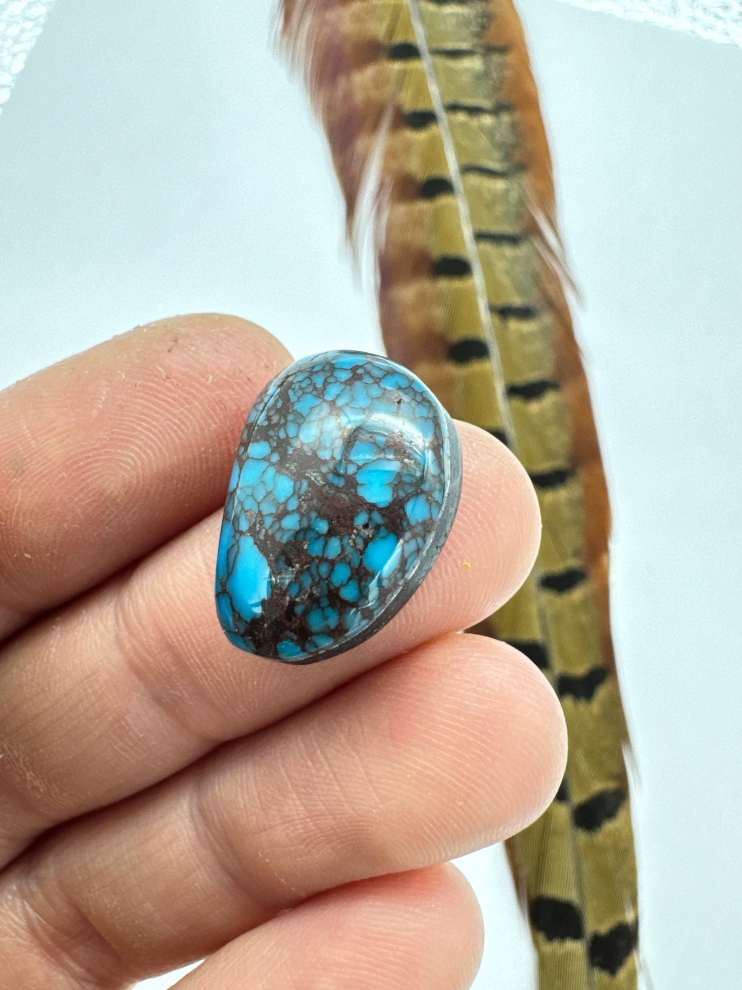 Egyptian Turquoise Hugh grade cabochon