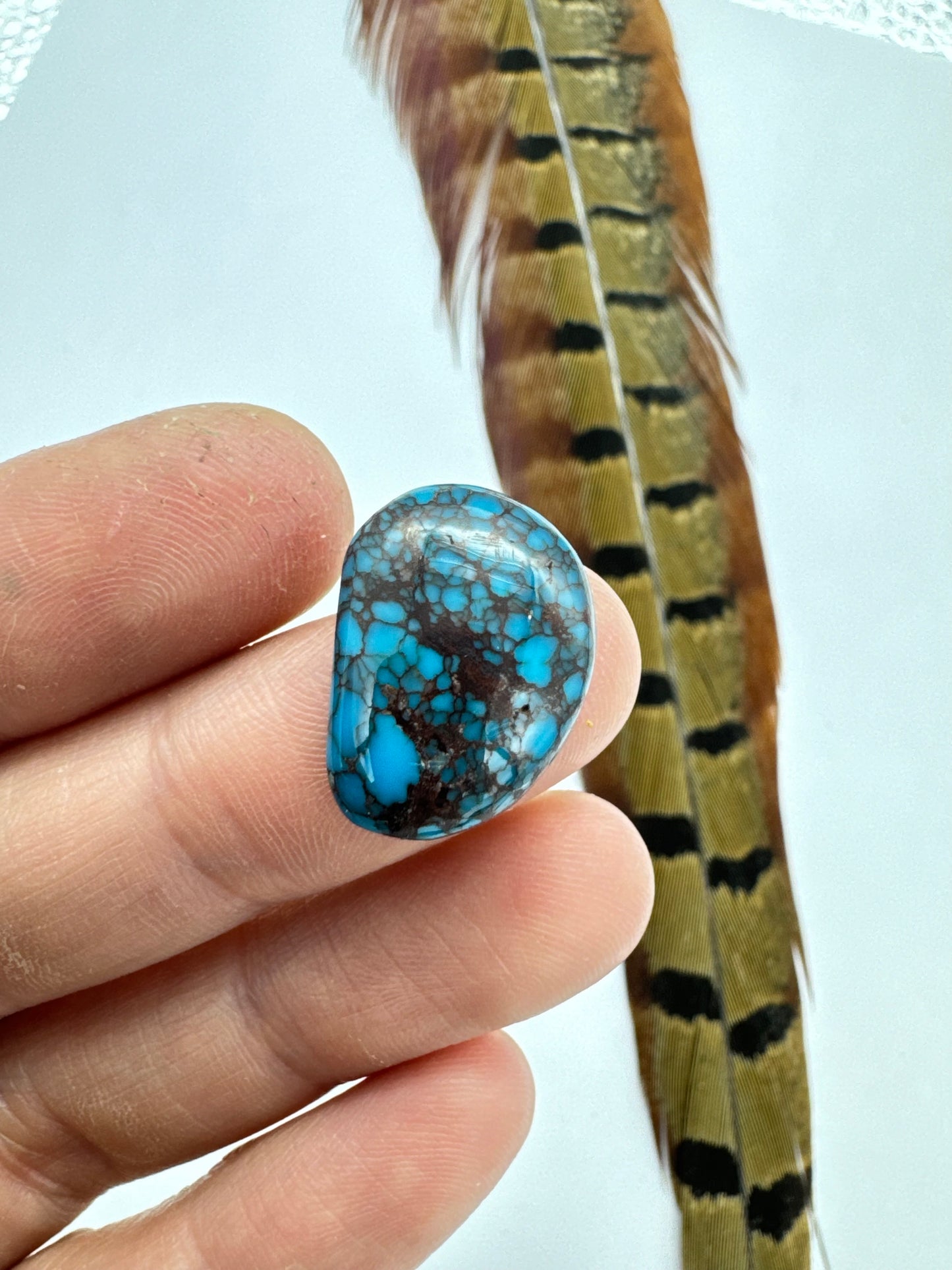 Egyptian Turquoise Hugh grade cabochon