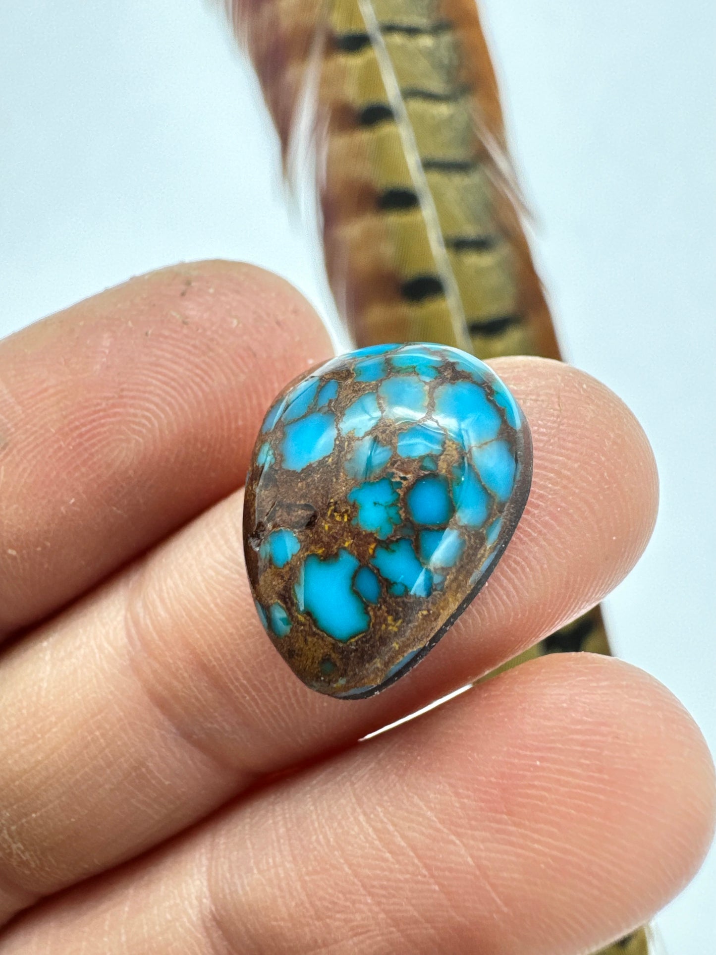 Egyptian Turquoise Hugh grade cabochon