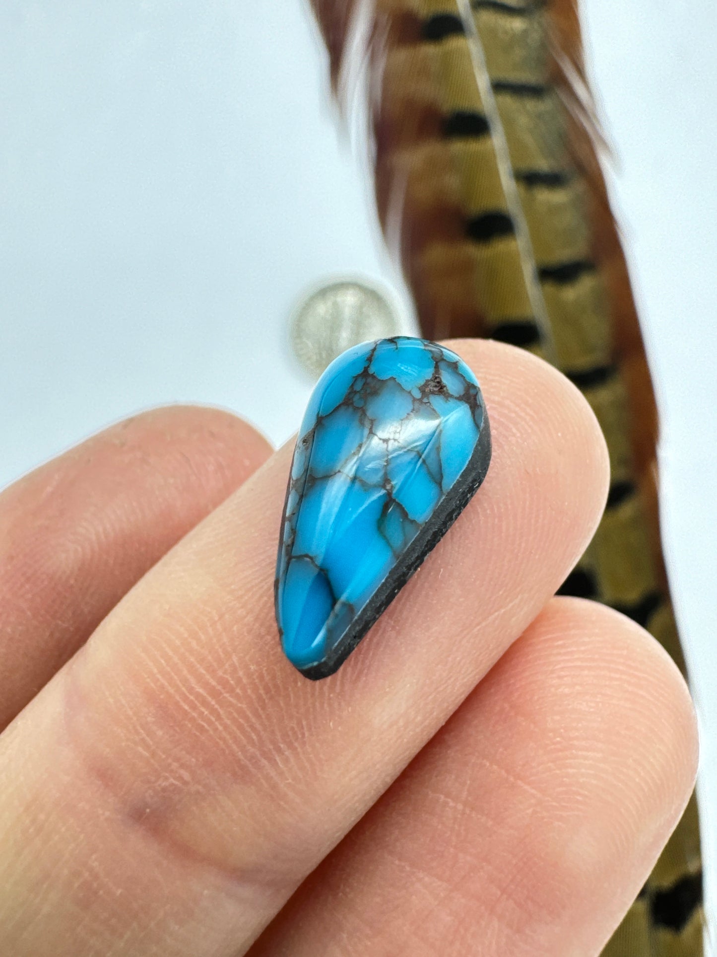 Egyptian Turquoise Hugh grade cabochon