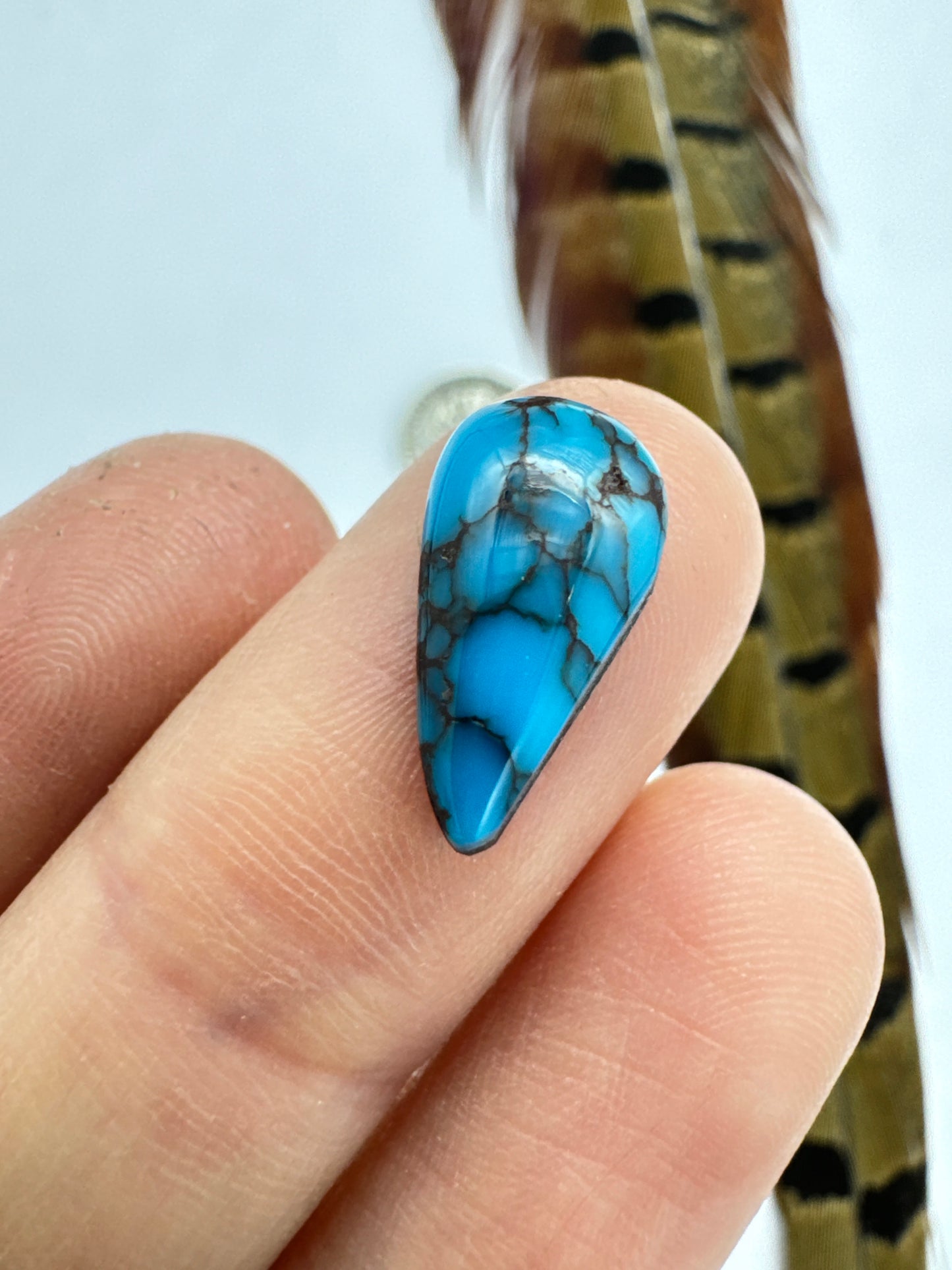 Egyptian Turquoise Hugh grade cabochon