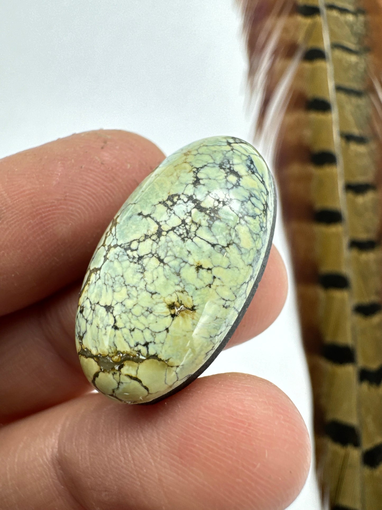 Colina verde variscite cab