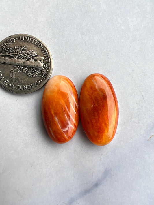 Spiny oyster cabochon set