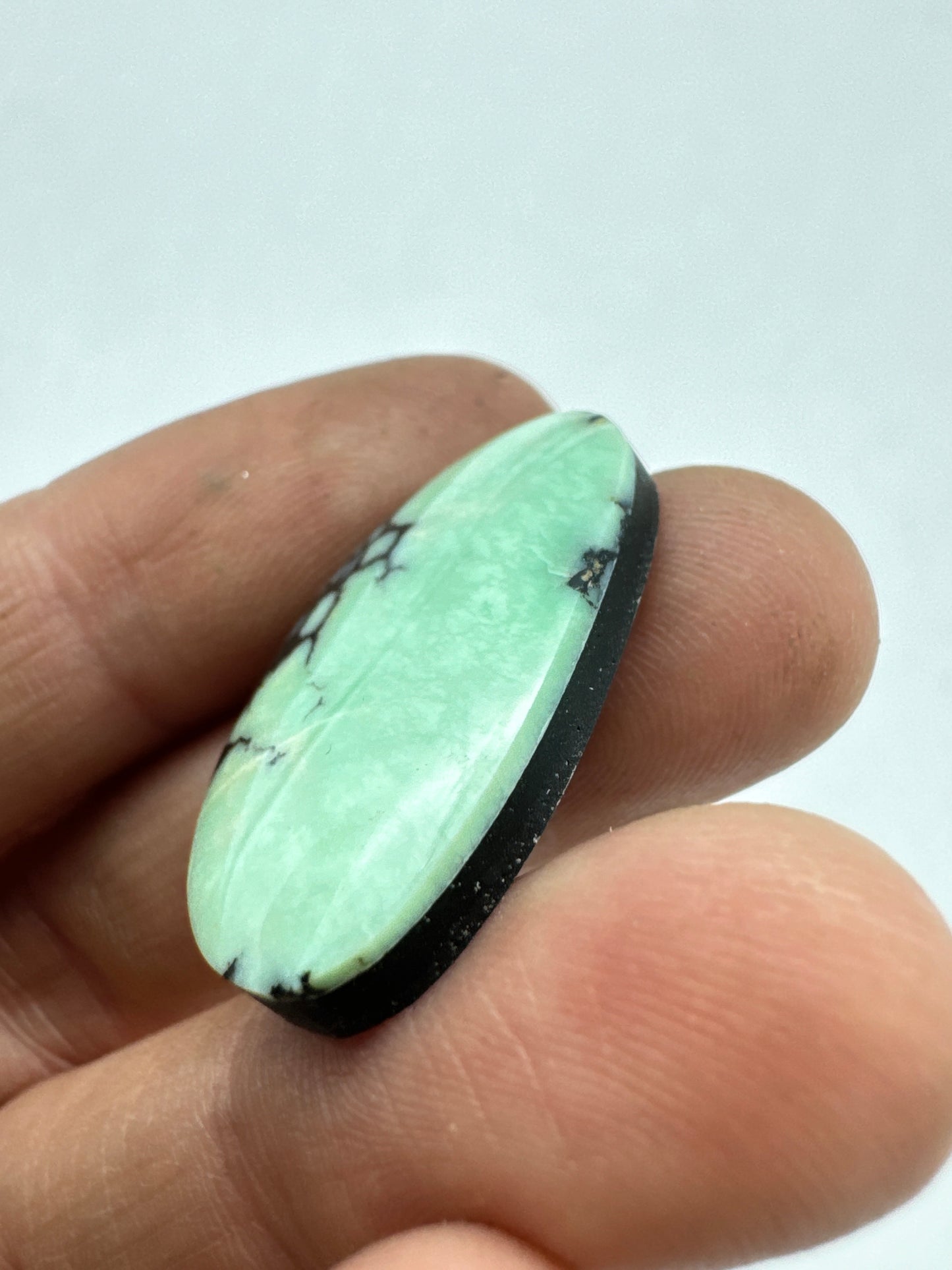 New lander cabochon variscite