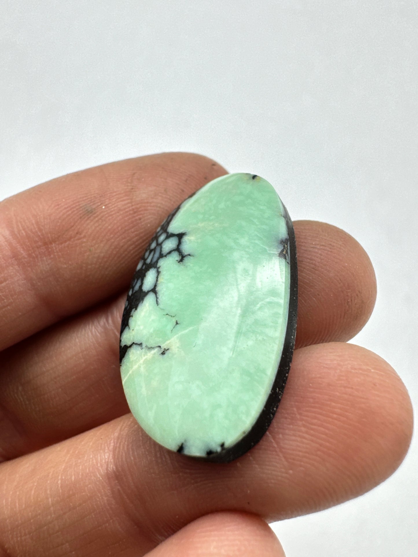 New lander cabochon variscite