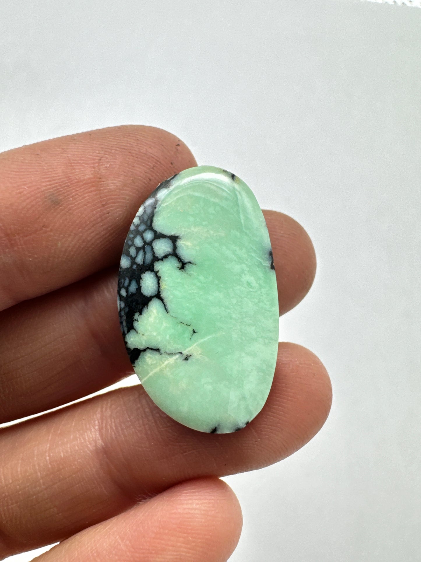 New lander cabochon variscite