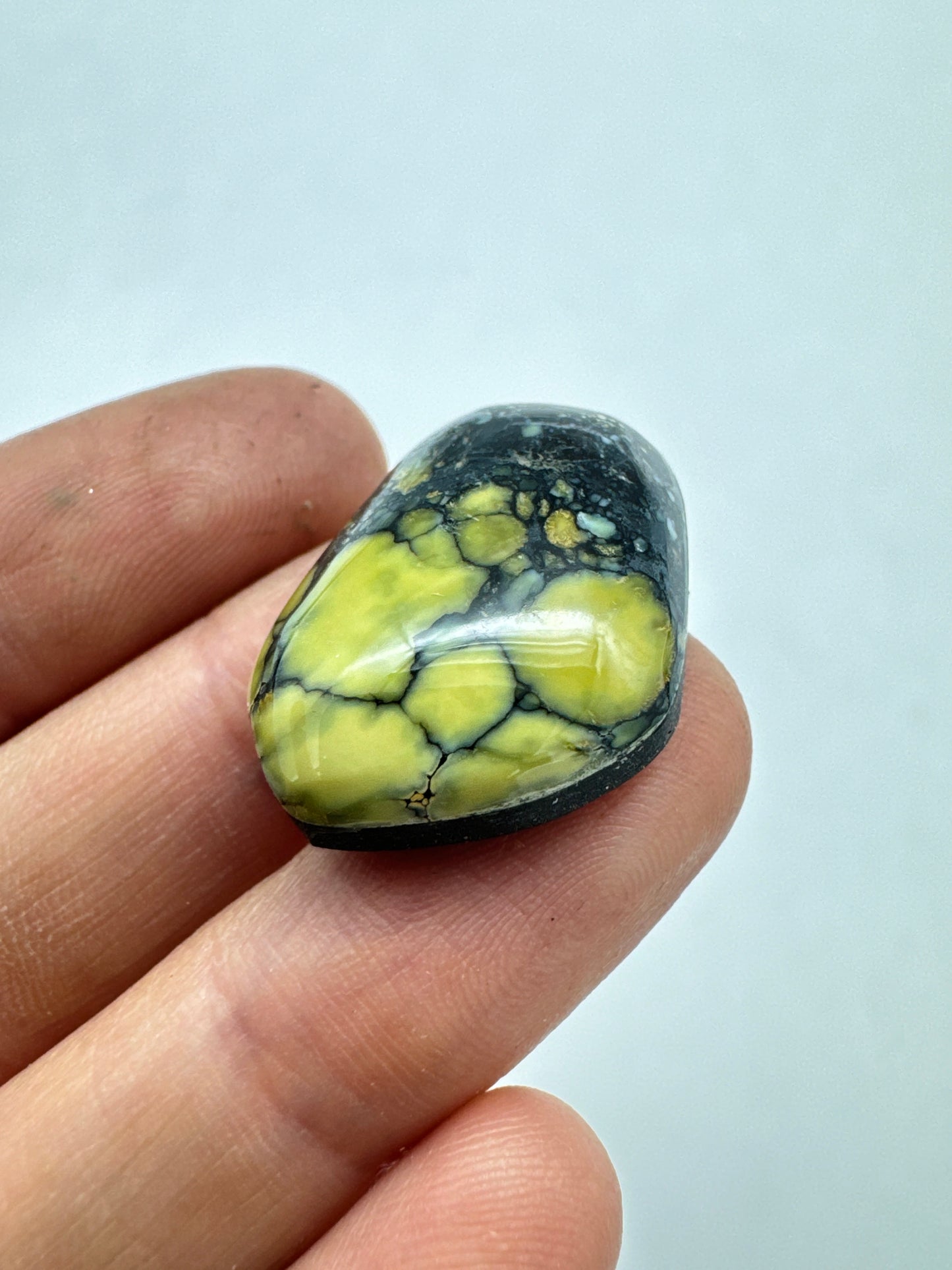 New lander cabochon variscite