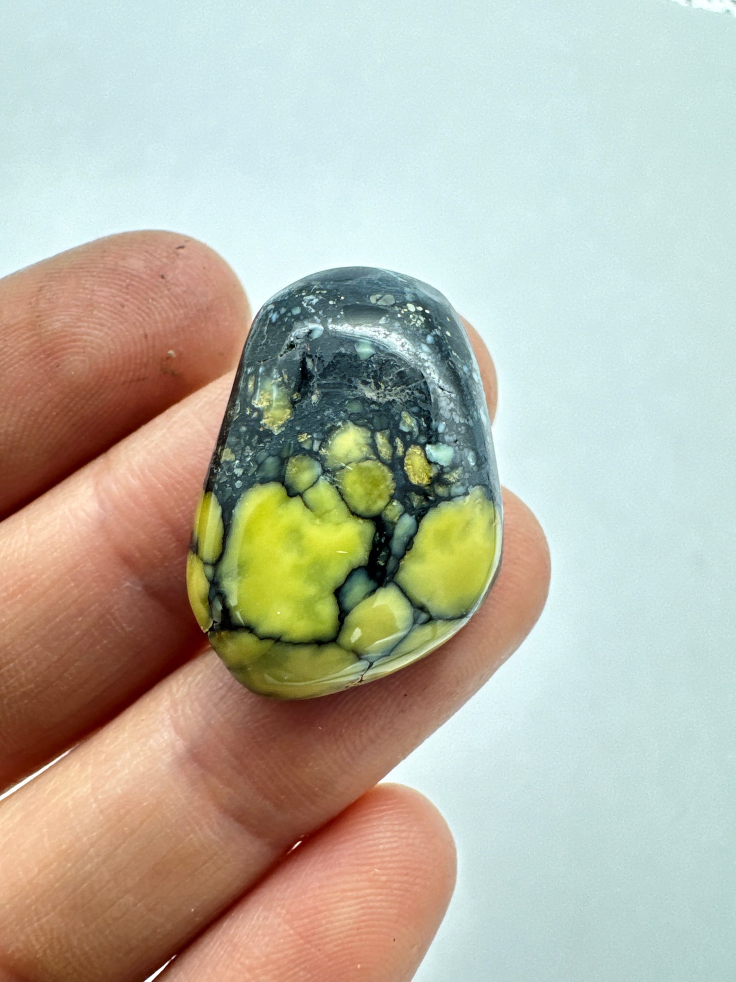 New lander cabochon variscite