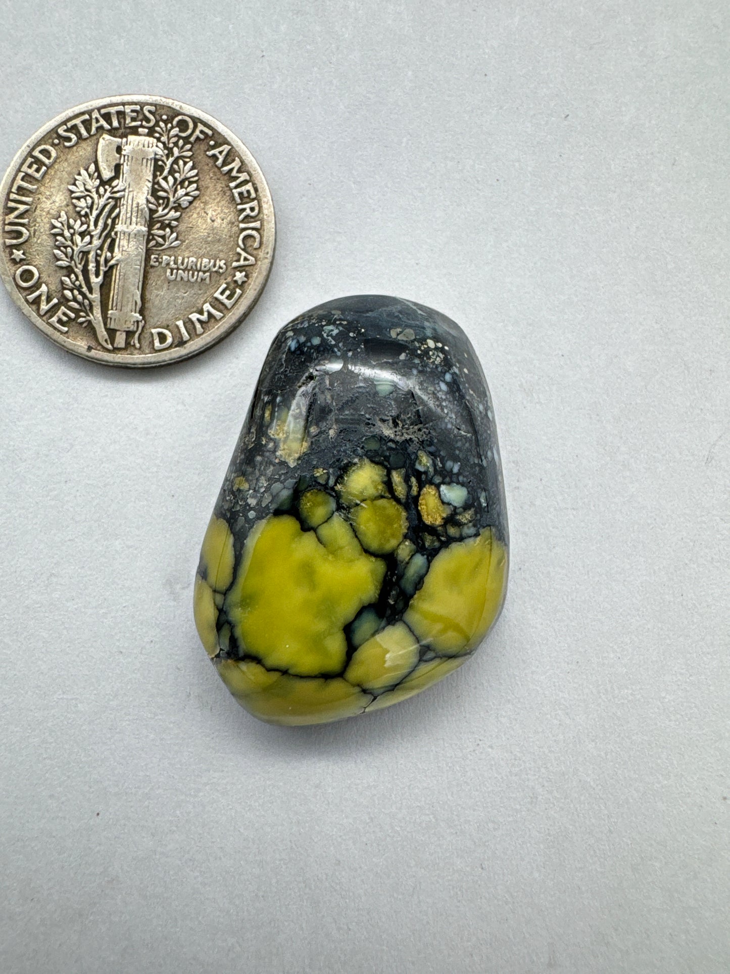 New lander cabochon variscite