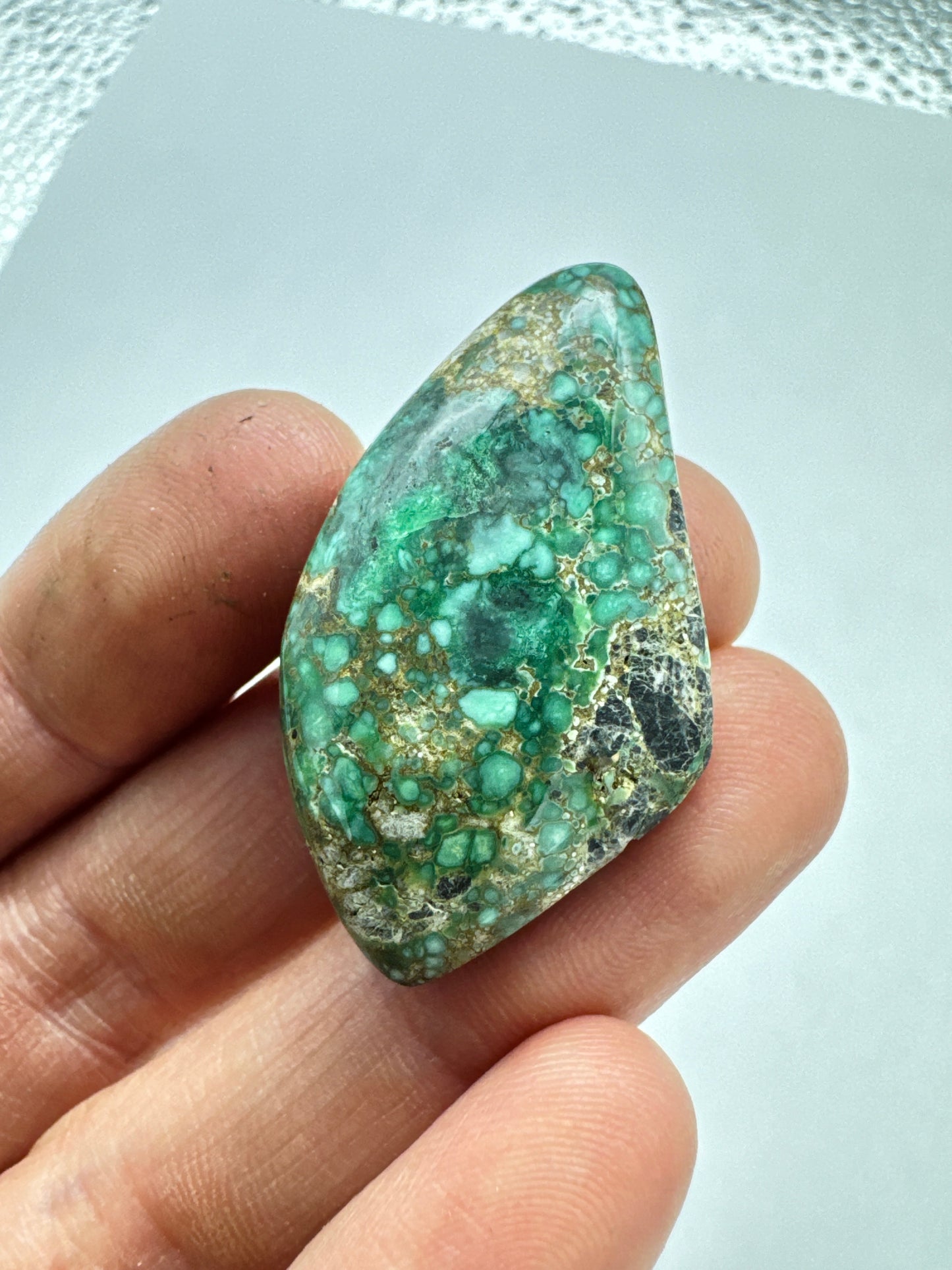 Turtle Back Variscite Cabochon