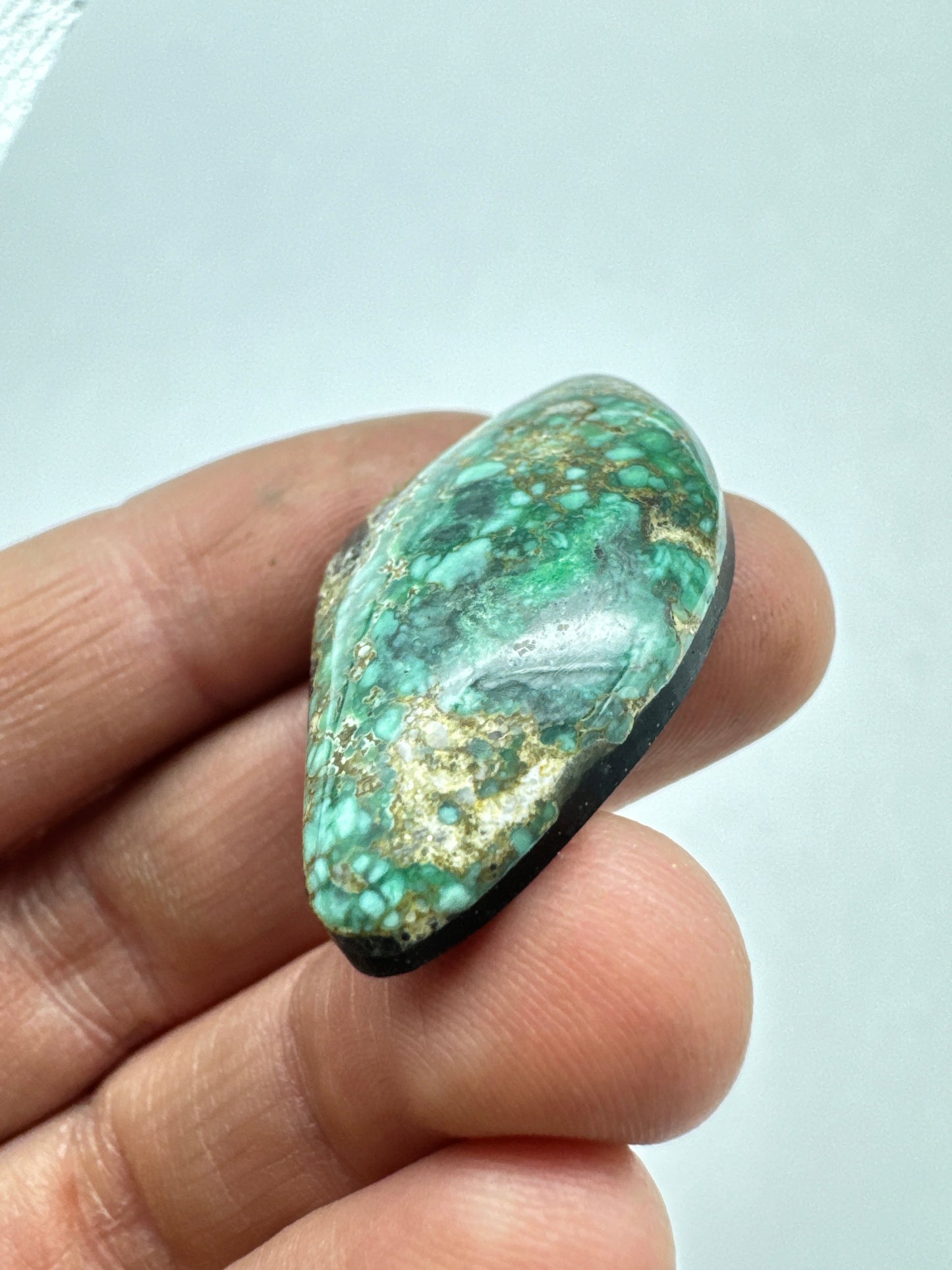 Turtle Back Variscite Cabochon