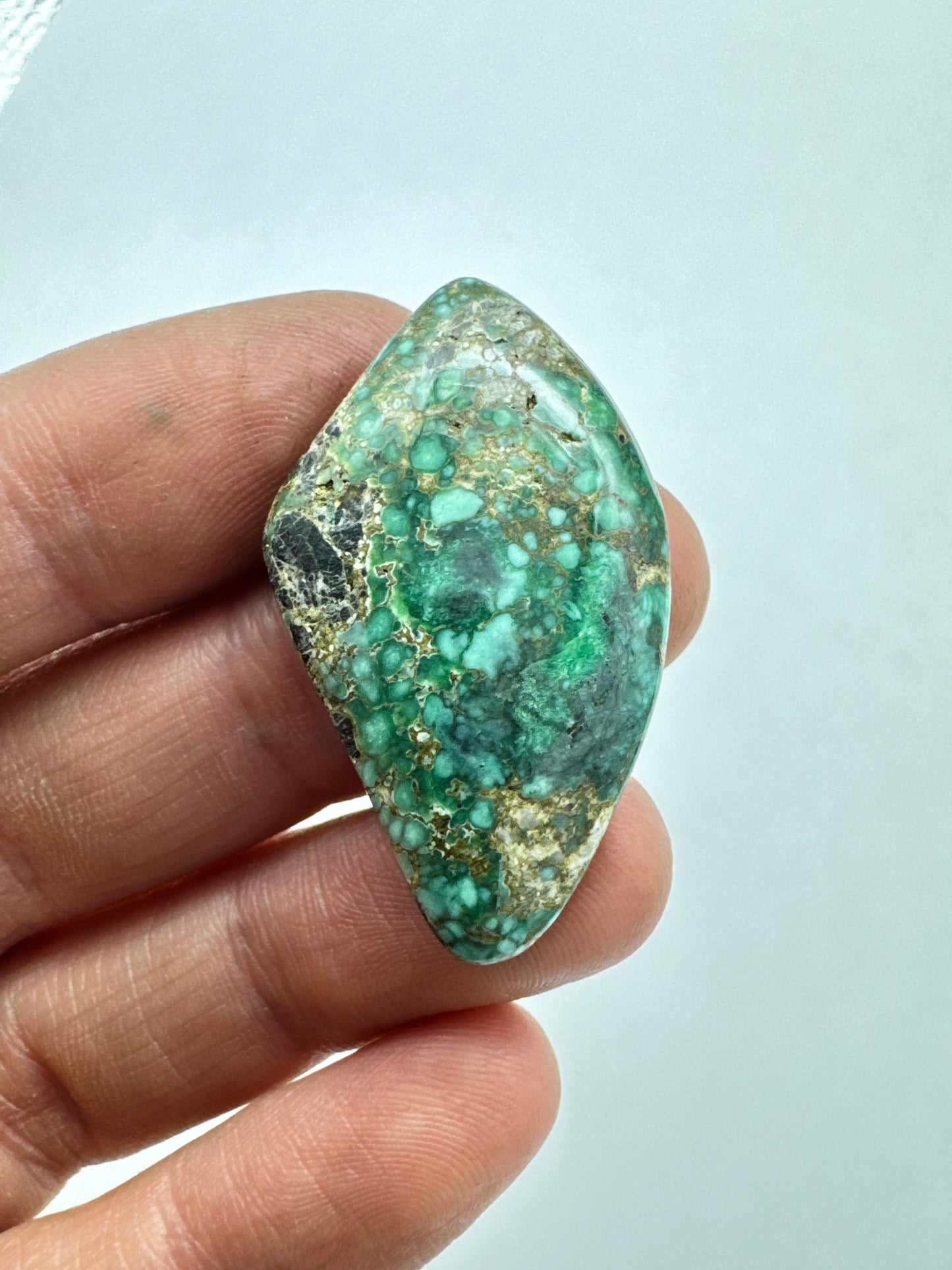 Turtle Back Variscite Cabochon