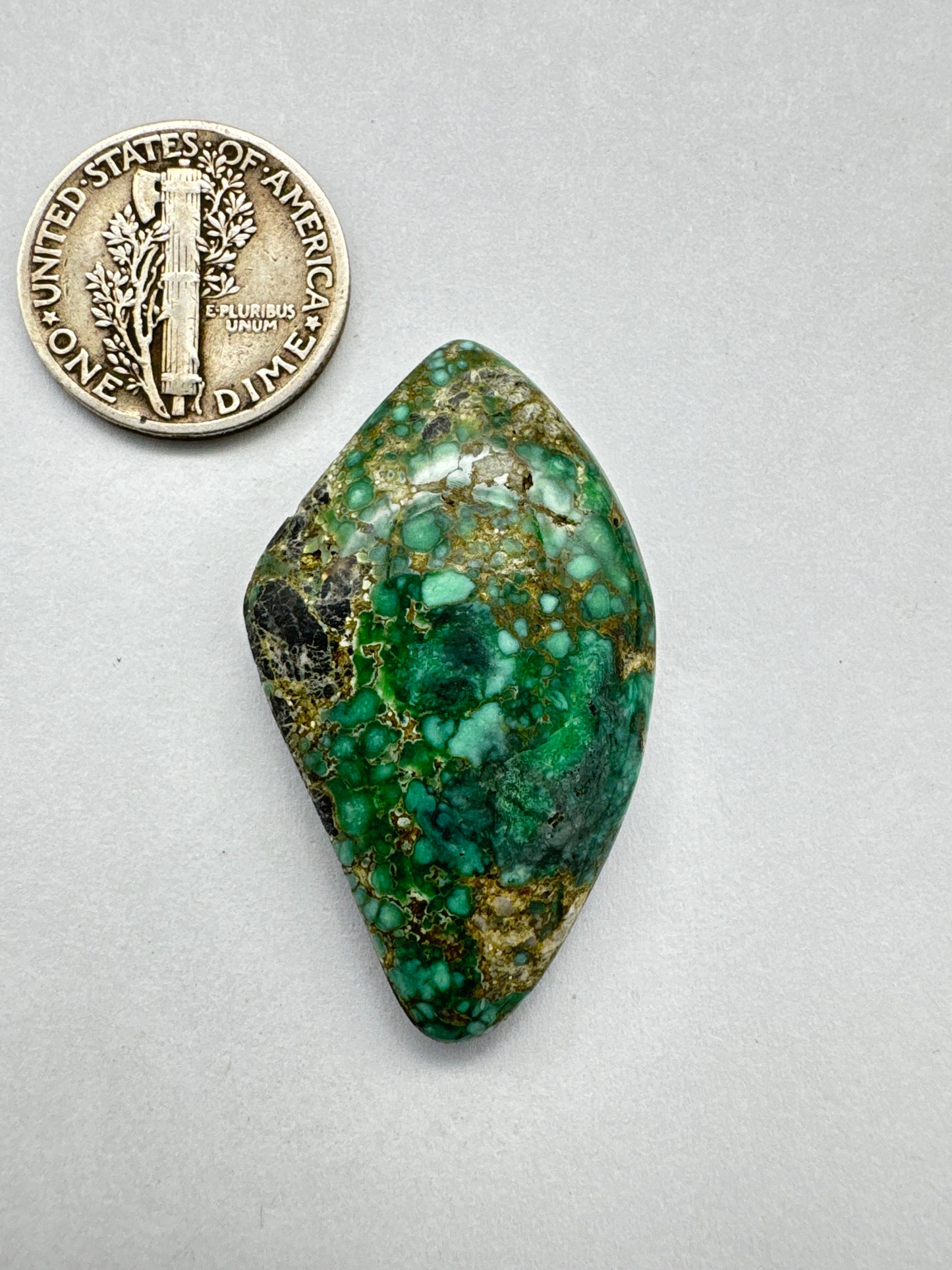 Turtle Back Variscite Cabochon